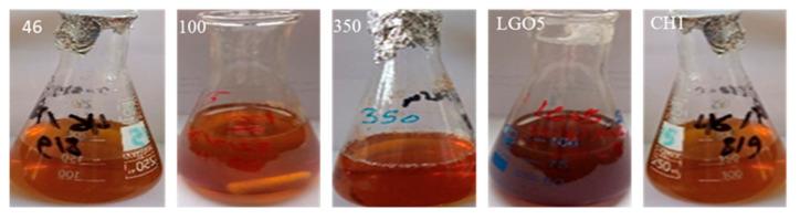 https://cdn.ncbi.nlm.nih.gov/pmc/blobs/fe30/11478020/3ead9ed2a5db/molecules-29-04784-g002.jpg