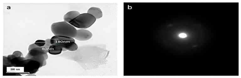 https://cdn.ncbi.nlm.nih.gov/pmc/blobs/fe30/11478020/4394102a1c01/molecules-29-04784-g006.jpg
