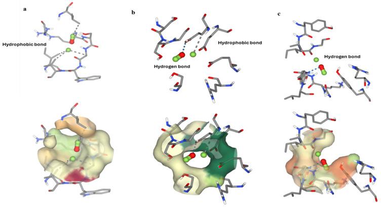 https://cdn.ncbi.nlm.nih.gov/pmc/blobs/fe30/11478020/4755f116fd2f/molecules-29-04784-g012.jpg