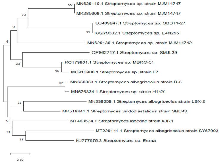 https://cdn.ncbi.nlm.nih.gov/pmc/blobs/fe30/11478020/dfc01a192fa8/molecules-29-04784-g003.jpg