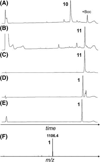 https://cdn.ncbi.nlm.nih.gov/pmc/blobs/fe32/10909544/90db165bdfc2/PSC-30-e3542-g005.jpg