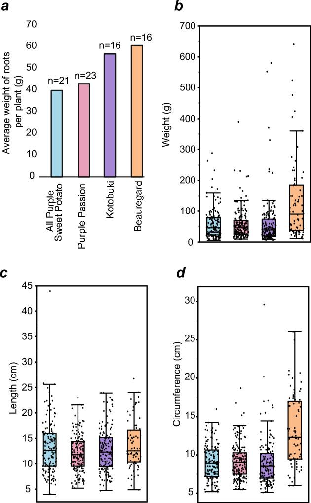 https://cdn.ncbi.nlm.nih.gov/pmc/blobs/fe32/8361111/4a4b2dc02524/41598_2021_95901_Fig1_HTML.jpg