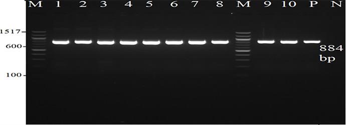 https://cdn.ncbi.nlm.nih.gov/pmc/blobs/fe33/11168671/330680e6f1c6/pone.0305431.g001.jpg