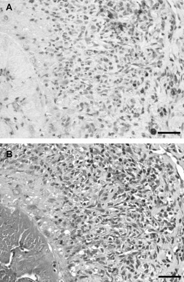 https://cdn.ncbi.nlm.nih.gov/pmc/blobs/fe33/3828848/bc838f589d67/jcmm0014-1318-f4.jpg