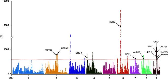 https://cdn.ncbi.nlm.nih.gov/pmc/blobs/fe35/12077126/4c7469ec9bb9/mbio.03256-24.f005.jpg
