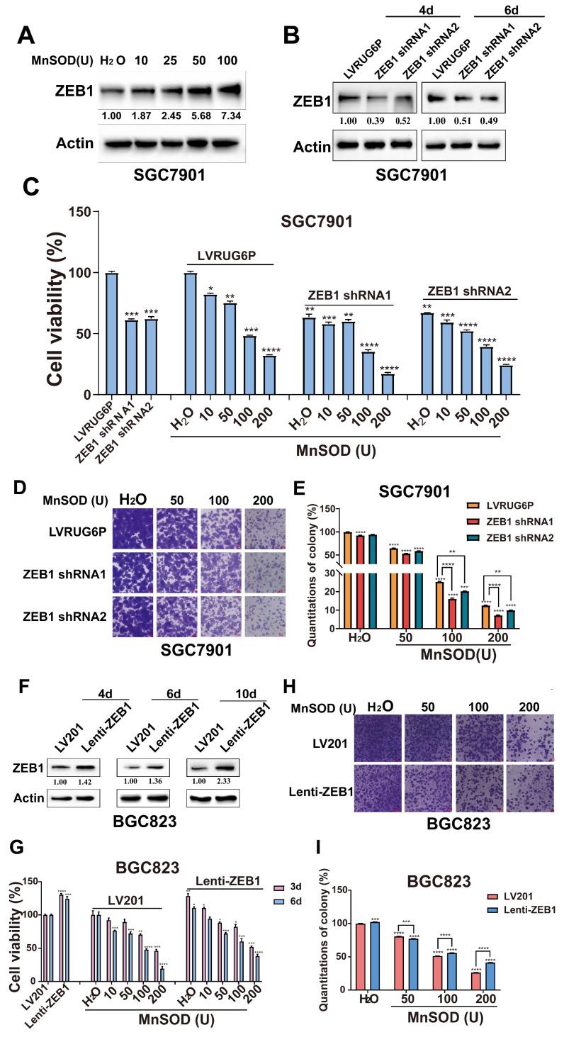 https://cdn.ncbi.nlm.nih.gov/pmc/blobs/fe36/11905419/6c27cb910e01/jcav16p2062g007.jpg