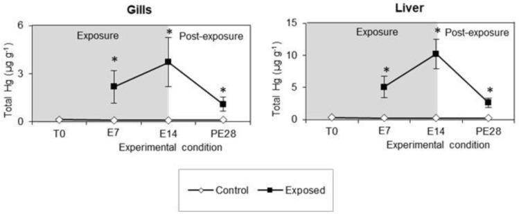 https://cdn.ncbi.nlm.nih.gov/pmc/blobs/fe36/9961322/f7c2d42e2f78/toxics-11-00181-g002.jpg
