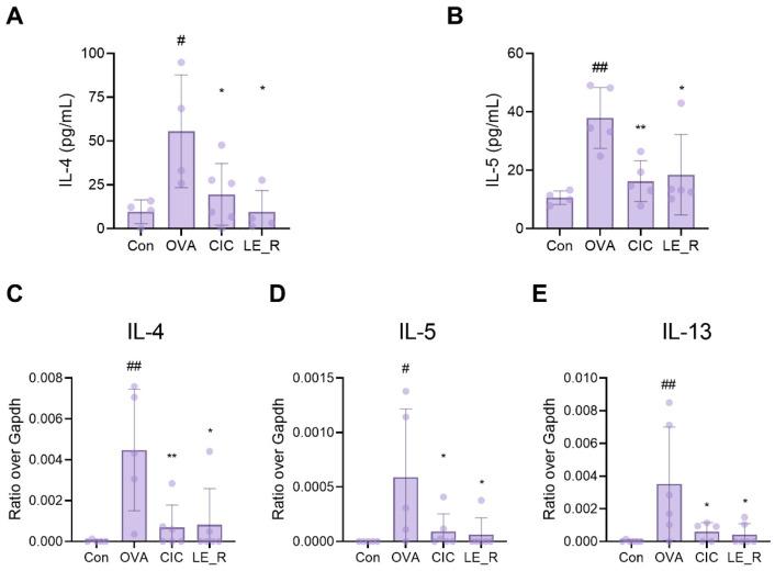 https://cdn.ncbi.nlm.nih.gov/pmc/blobs/fe37/9499623/fe194245a5dd/ijms-23-10403-g004.jpg