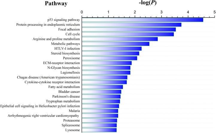 https://cdn.ncbi.nlm.nih.gov/pmc/blobs/fe38/5593535/053e272251c6/oncotarget-08-55938-g002.jpg