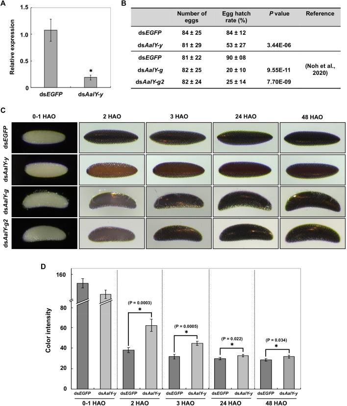 https://cdn.ncbi.nlm.nih.gov/pmc/blobs/fe38/8716798/8cc8ea0c28cf/fcell-09-769788-g003.jpg