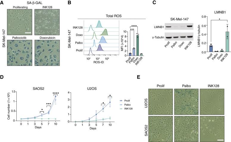 https://cdn.ncbi.nlm.nih.gov/pmc/blobs/fe39/11694068/1e177058a6c7/can-24-0529_f3.jpg