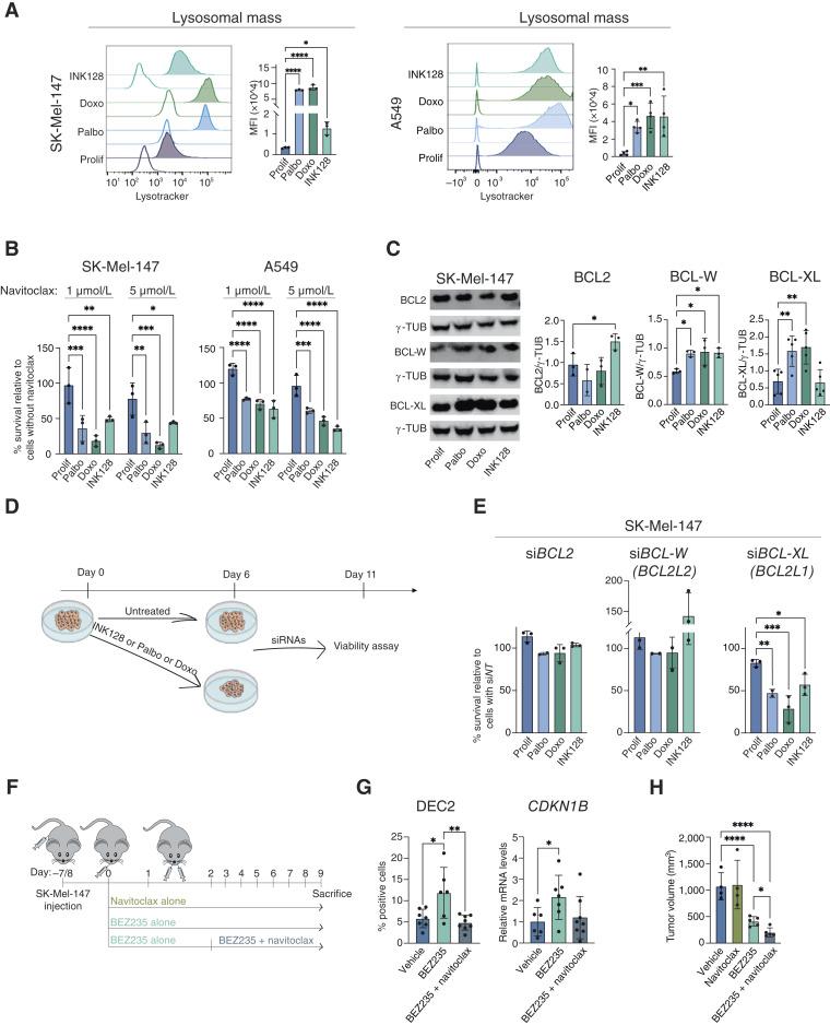 https://cdn.ncbi.nlm.nih.gov/pmc/blobs/fe39/11694068/ba73a3cb91df/can-24-0529_f2.jpg