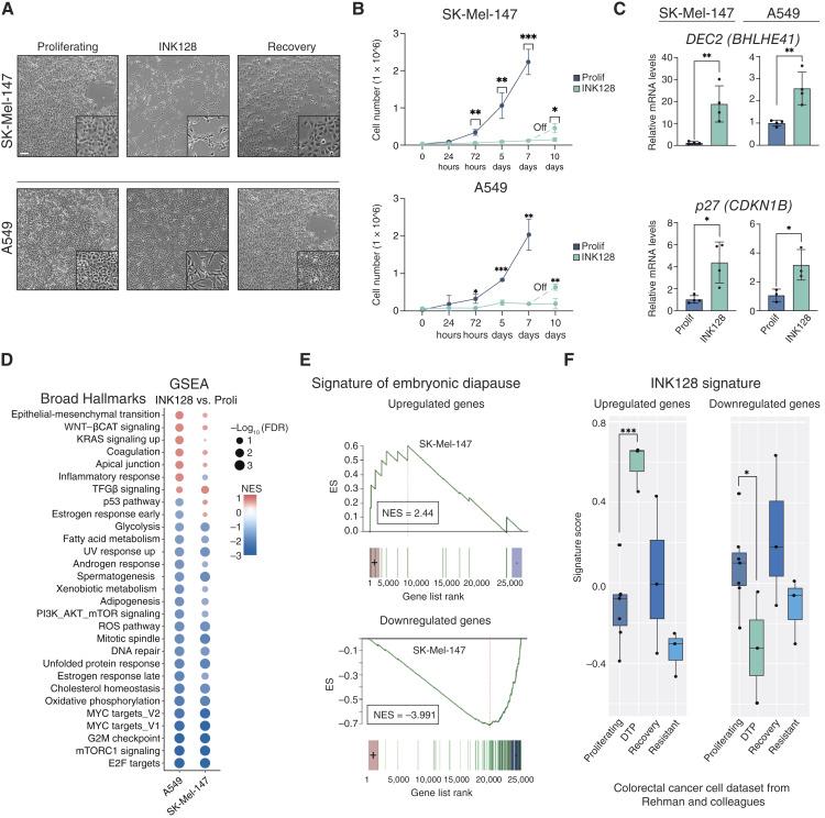 https://cdn.ncbi.nlm.nih.gov/pmc/blobs/fe39/11694068/ea2b32aa28ca/can-24-0529_f1.jpg