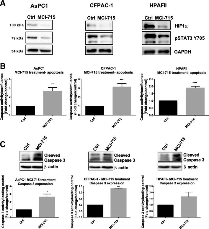 https://cdn.ncbi.nlm.nih.gov/pmc/blobs/fe39/6681491/0cddd730be9d/13046_2019_1308_Fig2_HTML.jpg