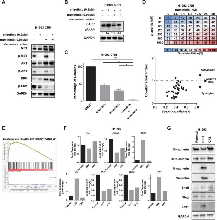 https://cdn.ncbi.nlm.nih.gov/pmc/blobs/fe3b/11101109/58429eaa3058/pone.0300644.g004.jpg