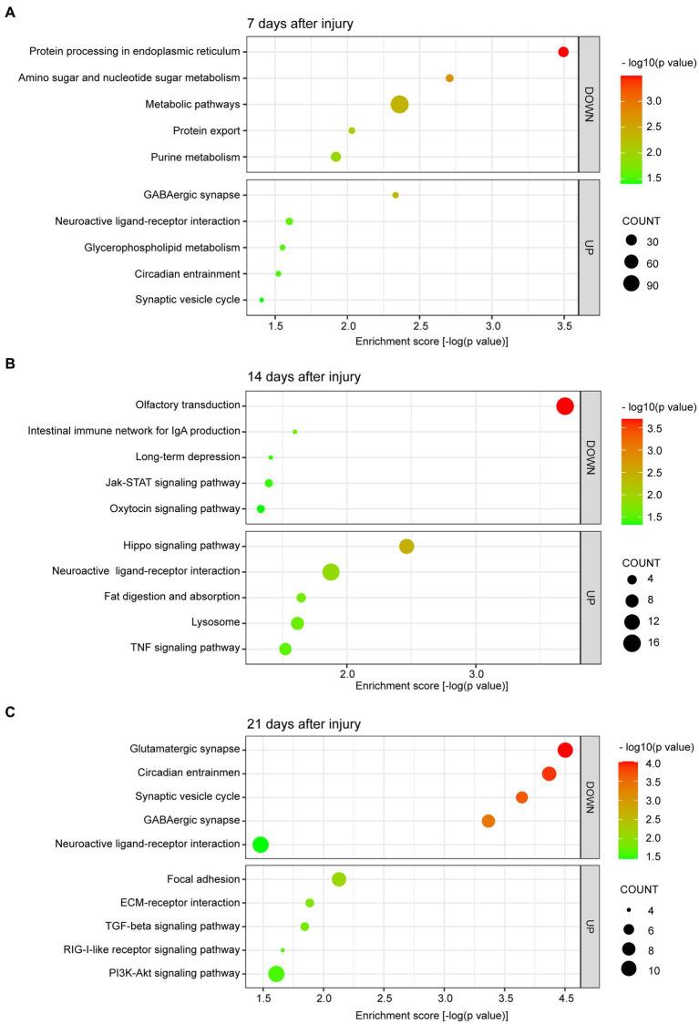 https://cdn.ncbi.nlm.nih.gov/pmc/blobs/fe3c/10286739/d863c30580da/fmed-10-1157099-g003.jpg