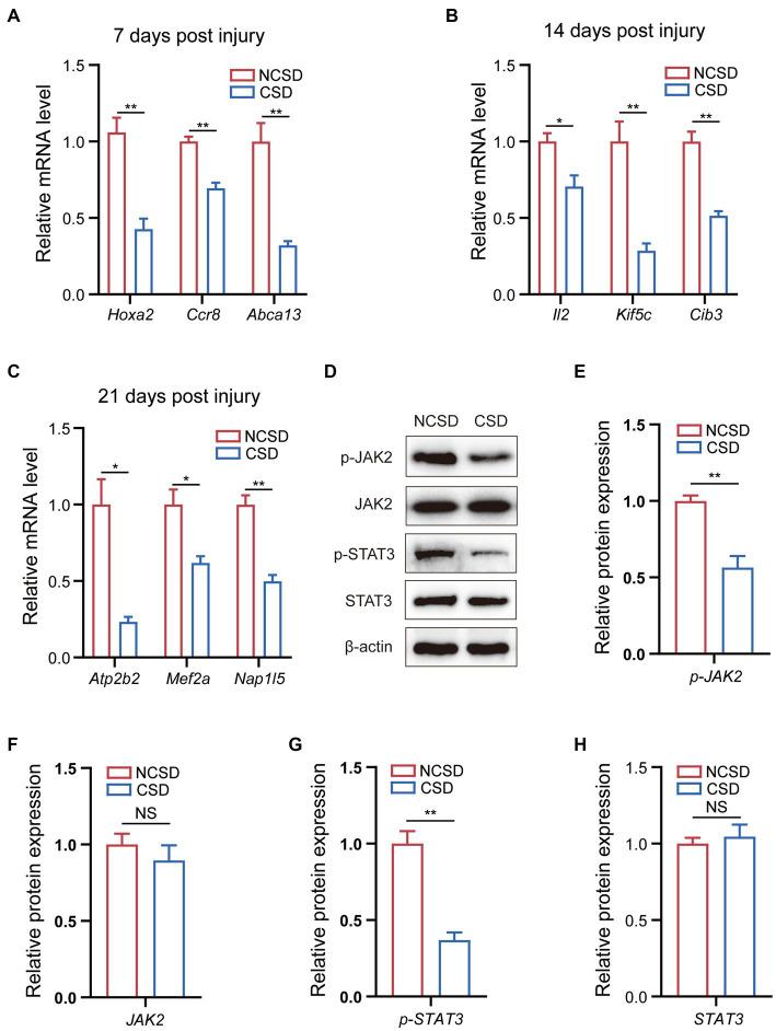 https://cdn.ncbi.nlm.nih.gov/pmc/blobs/fe3c/10286739/e0dfe7e28dc7/fmed-10-1157099-g005.jpg