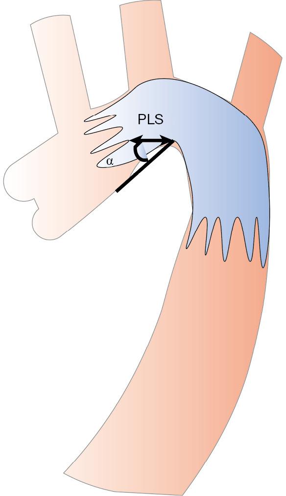 https://cdn.ncbi.nlm.nih.gov/pmc/blobs/fe3d/10904308/adbe871f922d/cdt-14-01-18-f3.jpg