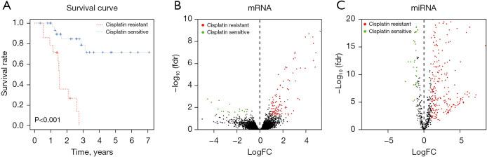https://cdn.ncbi.nlm.nih.gov/pmc/blobs/fe3d/11320240/7d3ce5d59366/jtd-16-07-4567-f2.jpg