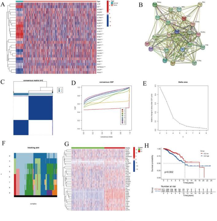 https://cdn.ncbi.nlm.nih.gov/pmc/blobs/fe3e/10805874/03961870a722/41598_2024_52353_Fig1_HTML.jpg