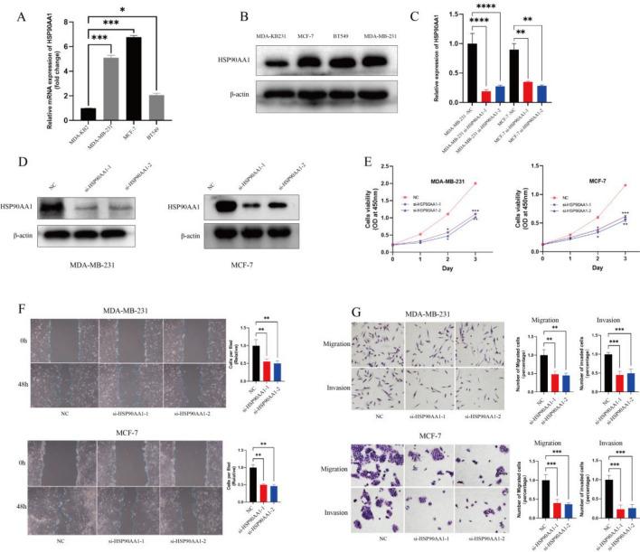 https://cdn.ncbi.nlm.nih.gov/pmc/blobs/fe3e/10805874/a30e6de517f8/41598_2024_52353_Fig9_HTML.jpg