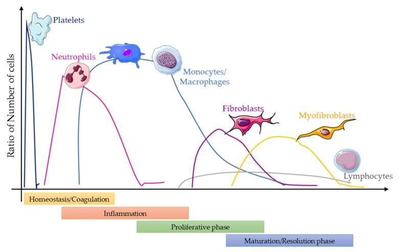 https://cdn.ncbi.nlm.nih.gov/pmc/blobs/fe3e/8305394/f904108faa07/cells-10-01729-g001.jpg