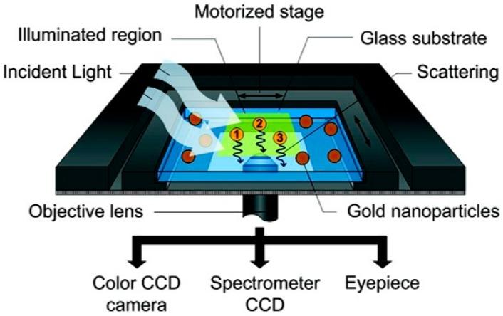 https://cdn.ncbi.nlm.nih.gov/pmc/blobs/fe40/4634464/7effb369f052/sensors-15-25774-g003.jpg