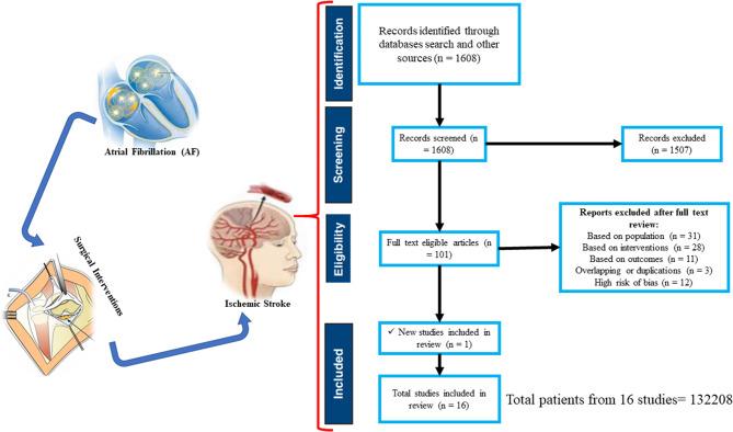 https://cdn.ncbi.nlm.nih.gov/pmc/blobs/fe41/11954250/d2a39357d18e/12872_2025_4605_Fig5_HTML.jpg