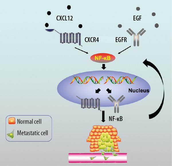 https://cdn.ncbi.nlm.nih.gov/pmc/blobs/fe41/7488916/641aaaac231e/medscimonit-26-e925019-g006.jpg