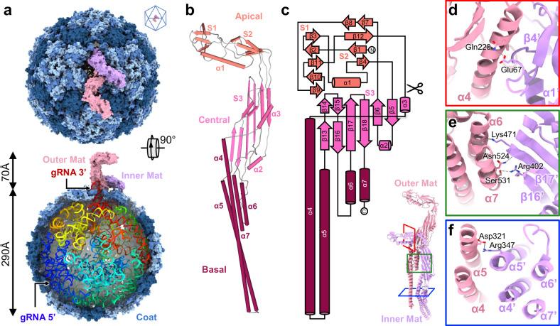 https://cdn.ncbi.nlm.nih.gov/pmc/blobs/fe44/10980823/d8a32540082c/41467_2024_47119_Fig1_HTML.jpg