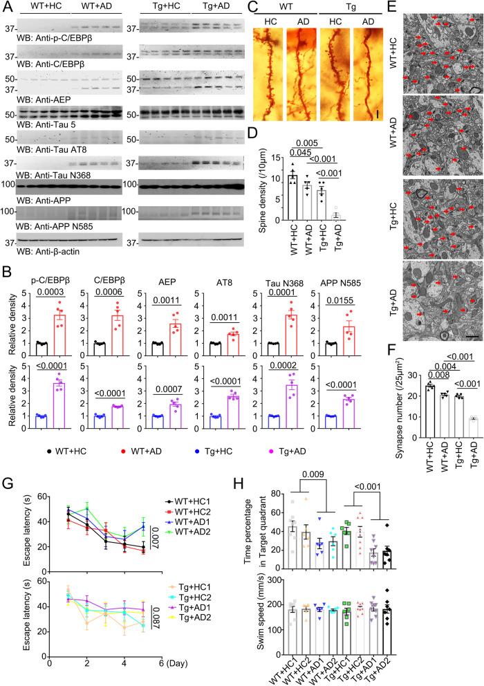 https://cdn.ncbi.nlm.nih.gov/pmc/blobs/fe46/10482867/62c016efa2aa/41467_2023_41283_Fig2_HTML.jpg