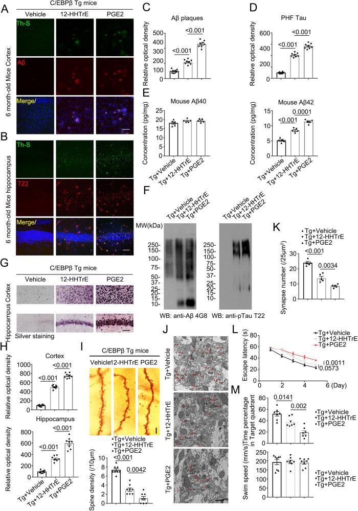 https://cdn.ncbi.nlm.nih.gov/pmc/blobs/fe46/10482867/8a6bde0810d6/41467_2023_41283_Fig6_HTML.jpg