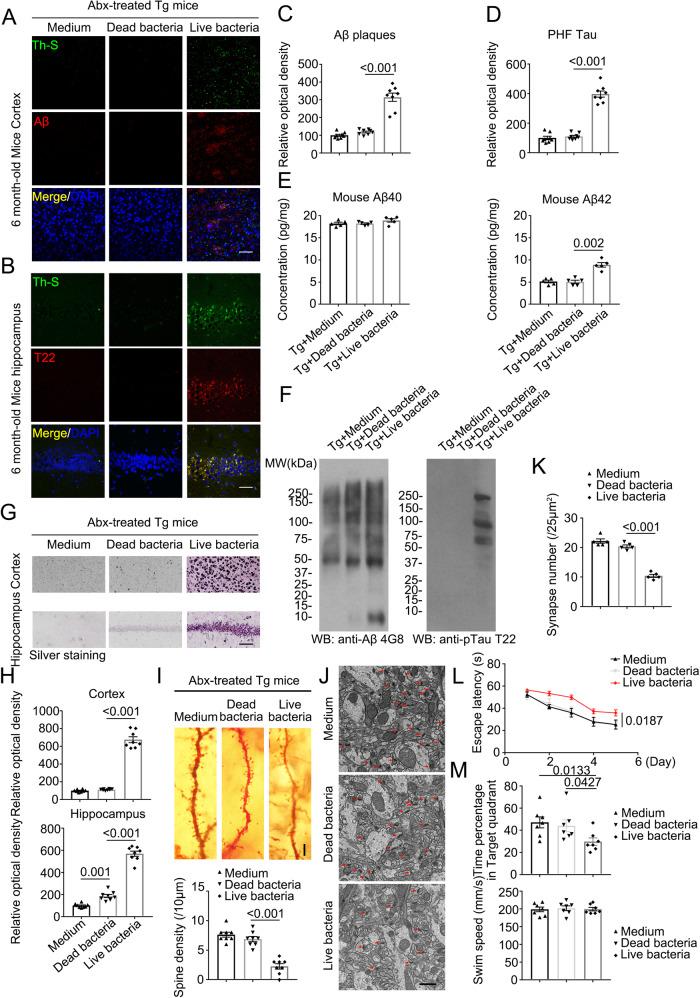 https://cdn.ncbi.nlm.nih.gov/pmc/blobs/fe46/10482867/c49bb8c81eb0/41467_2023_41283_Fig4_HTML.jpg