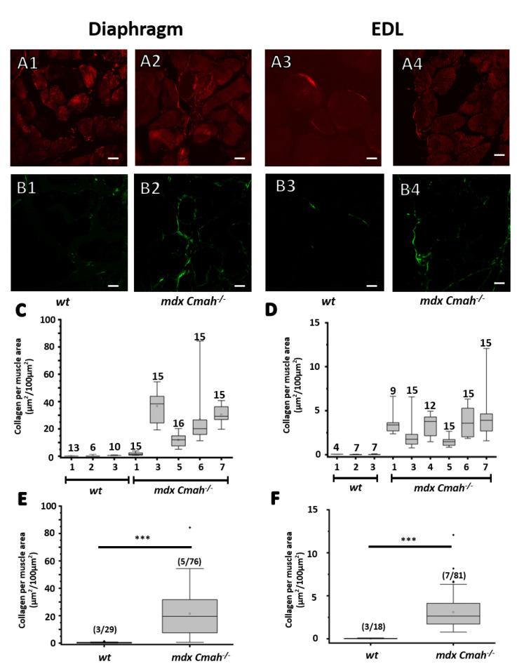 https://cdn.ncbi.nlm.nih.gov/pmc/blobs/fe47/9500669/52055dd956be/ijms-23-10841-g002.jpg