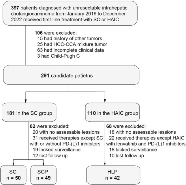 https://cdn.ncbi.nlm.nih.gov/pmc/blobs/fe49/11189327/9a344dc10310/432_2024_5795_Fig1_HTML.jpg