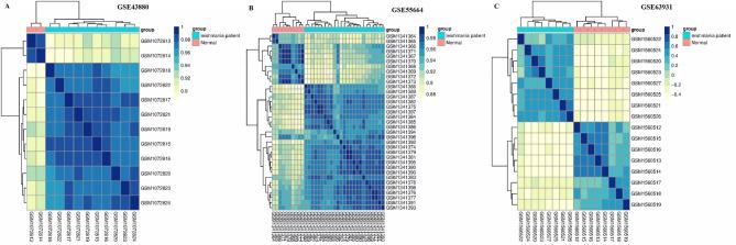 https://cdn.ncbi.nlm.nih.gov/pmc/blobs/fe4b/11438978/d974cacea5db/41598_2024_73779_Fig3_HTML.jpg