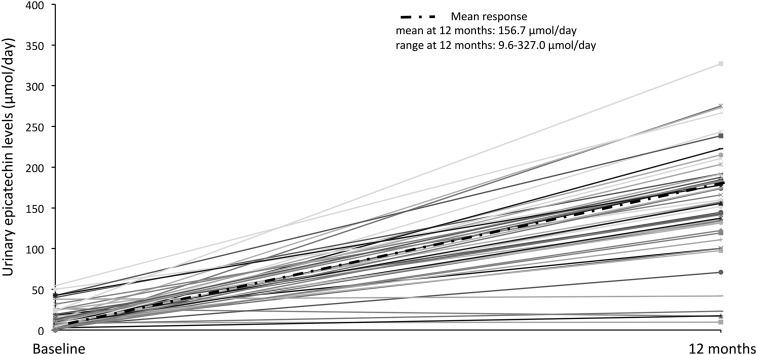 https://cdn.ncbi.nlm.nih.gov/pmc/blobs/fe4b/5183723/73814da51277/ajcn136051fig1.jpg