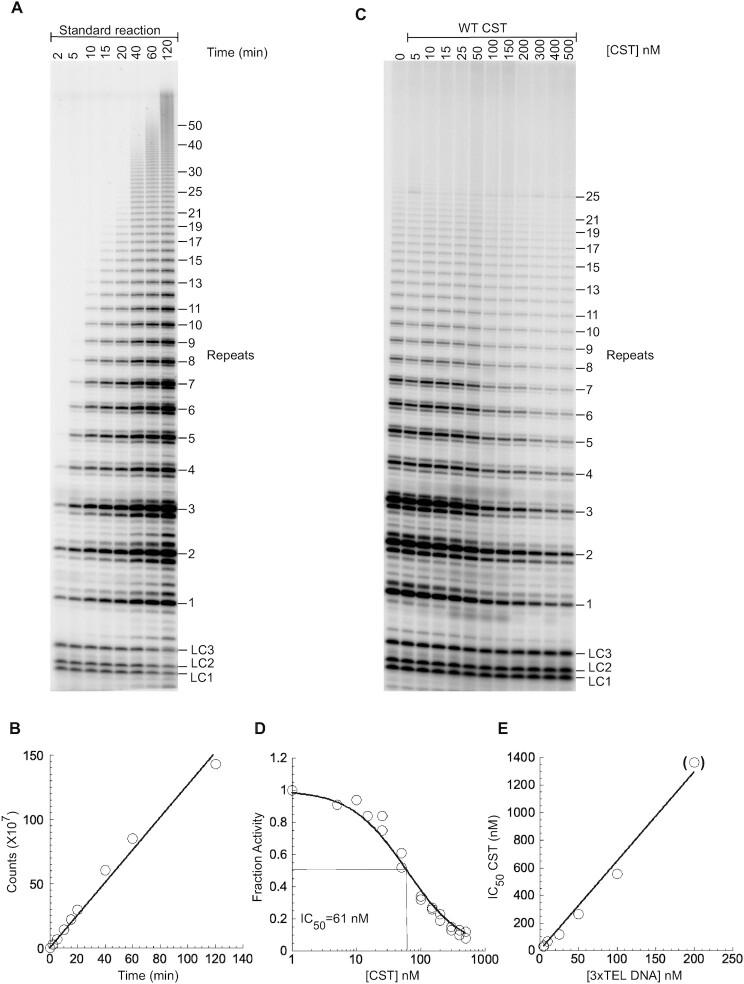 https://cdn.ncbi.nlm.nih.gov/pmc/blobs/fe4b/8599947/52b57651fa5c/gkab942fig3.jpg