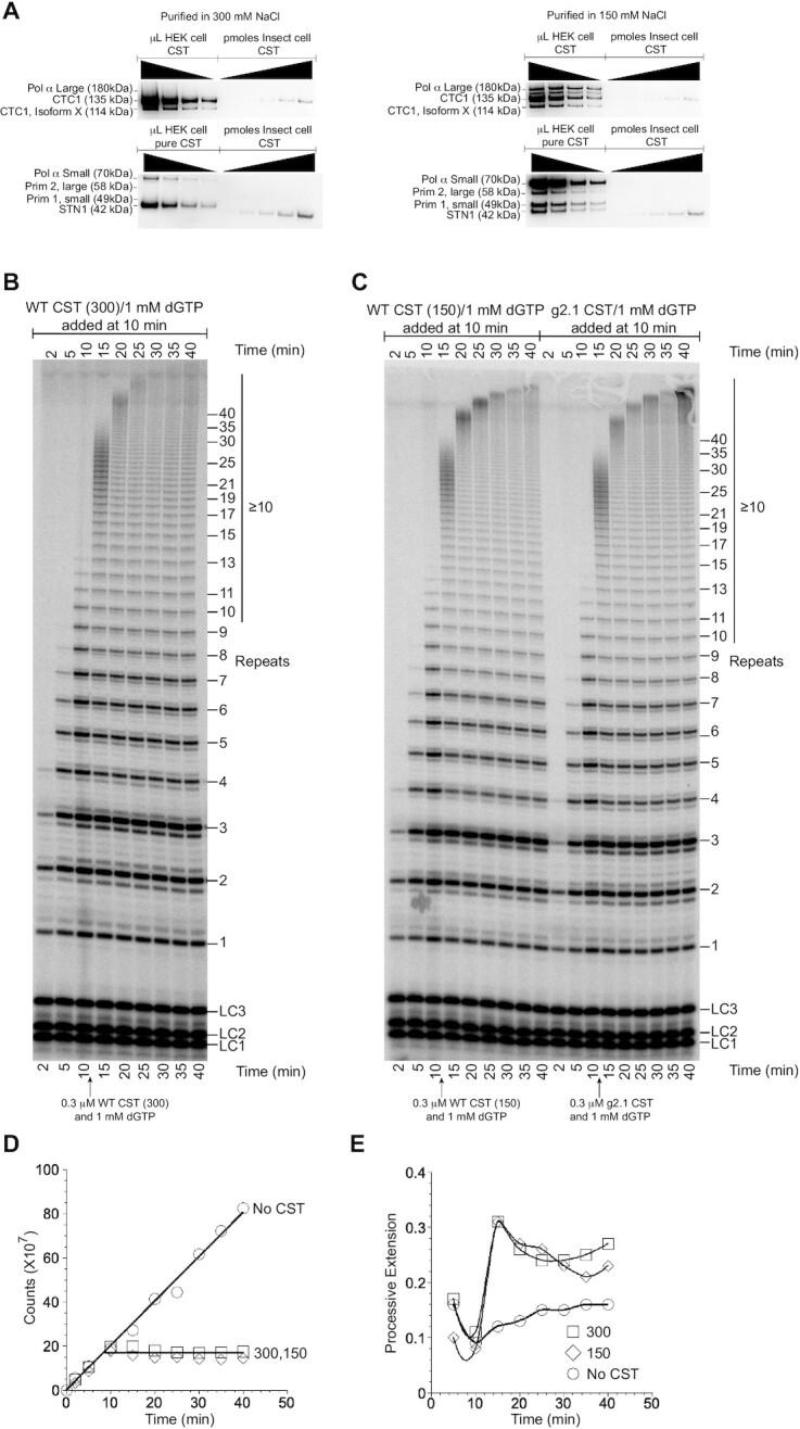 https://cdn.ncbi.nlm.nih.gov/pmc/blobs/fe4b/8599947/5ea3ba3f4278/gkab942fig6.jpg