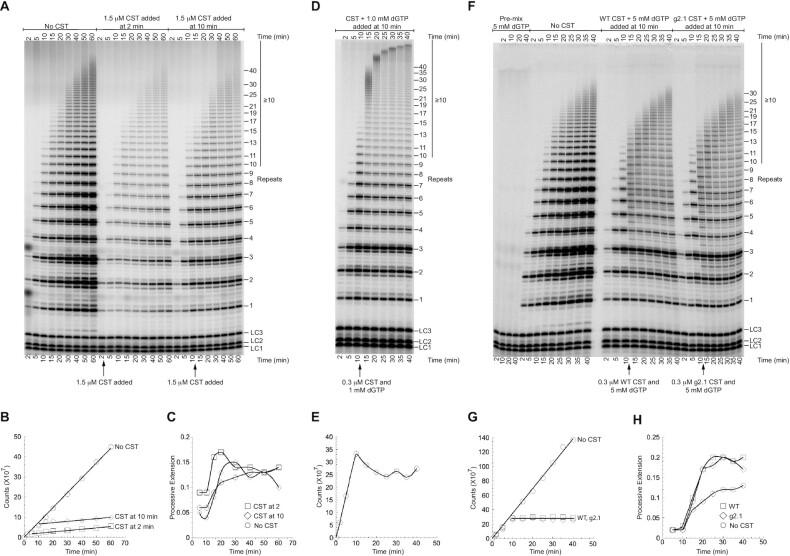 https://cdn.ncbi.nlm.nih.gov/pmc/blobs/fe4b/8599947/96cdb6071d98/gkab942fig5.jpg