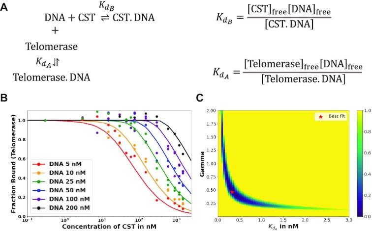 https://cdn.ncbi.nlm.nih.gov/pmc/blobs/fe4b/8599947/a6b046e2e0f9/gkab942fig4.jpg