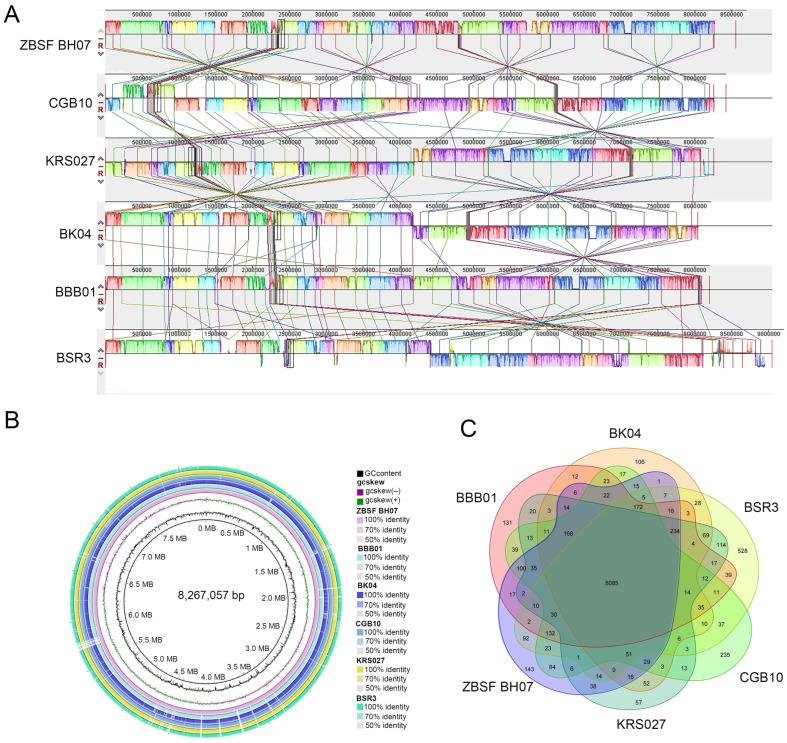 https://cdn.ncbi.nlm.nih.gov/pmc/blobs/fe4d/12388634/91ecc136ce88/microorganisms-13-01756-g006.jpg