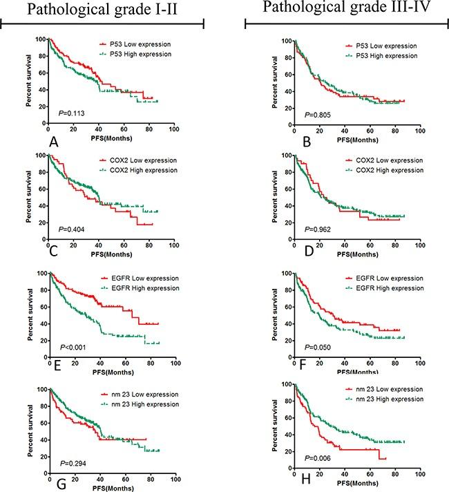 https://cdn.ncbi.nlm.nih.gov/pmc/blobs/fe4d/5352209/1ac91c4c6421/oncotarget-08-954-g004.jpg