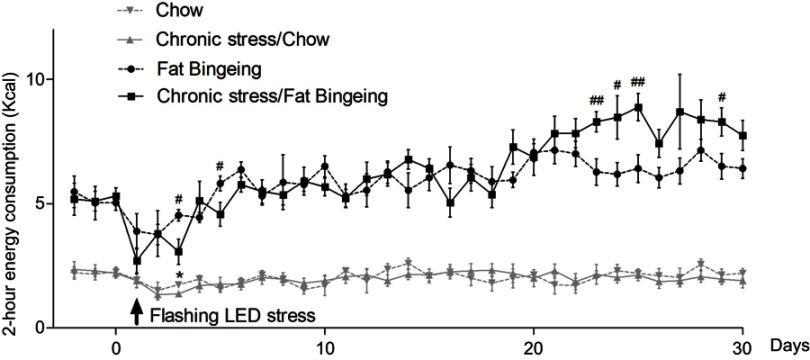 https://cdn.ncbi.nlm.nih.gov/pmc/blobs/fe4d/6512647/cfeceb993fd7/NDT-15-1211-g0004.jpg