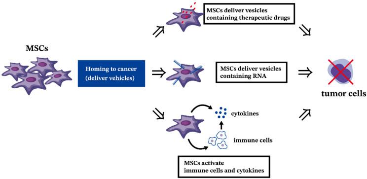 https://cdn.ncbi.nlm.nih.gov/pmc/blobs/fe50/10932140/89015c7d89f7/ijms-25-02527-g002.jpg