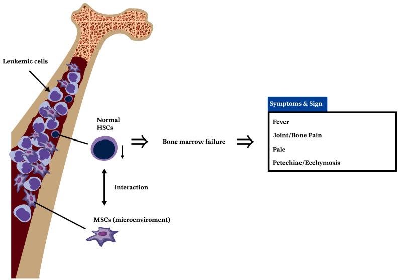 https://cdn.ncbi.nlm.nih.gov/pmc/blobs/fe50/10932140/e7e4ae7db2da/ijms-25-02527-g001.jpg