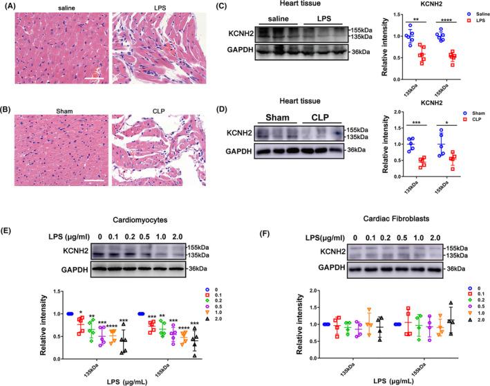 https://cdn.ncbi.nlm.nih.gov/pmc/blobs/fe50/7848965/aa33263dc589/CPR-54-e12962-g001.jpg