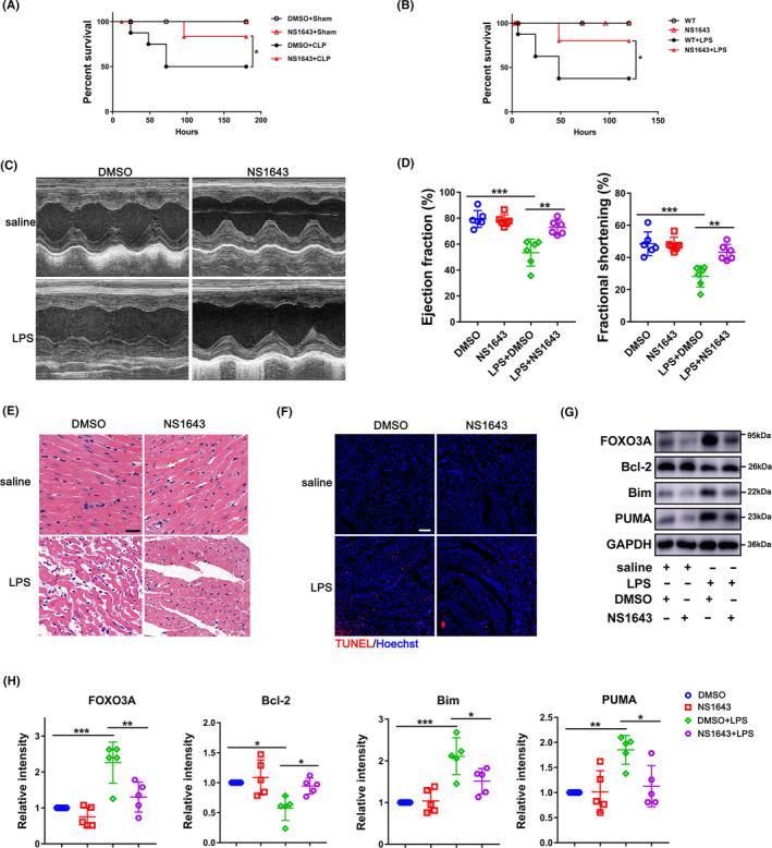 https://cdn.ncbi.nlm.nih.gov/pmc/blobs/fe50/7848965/e953fd2f43d1/CPR-54-e12962-g003.jpg