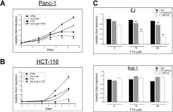 https://cdn.ncbi.nlm.nih.gov/pmc/blobs/fe51/3960199/48ec18fc0d76/oncotarget-05-0173-f002.jpg
