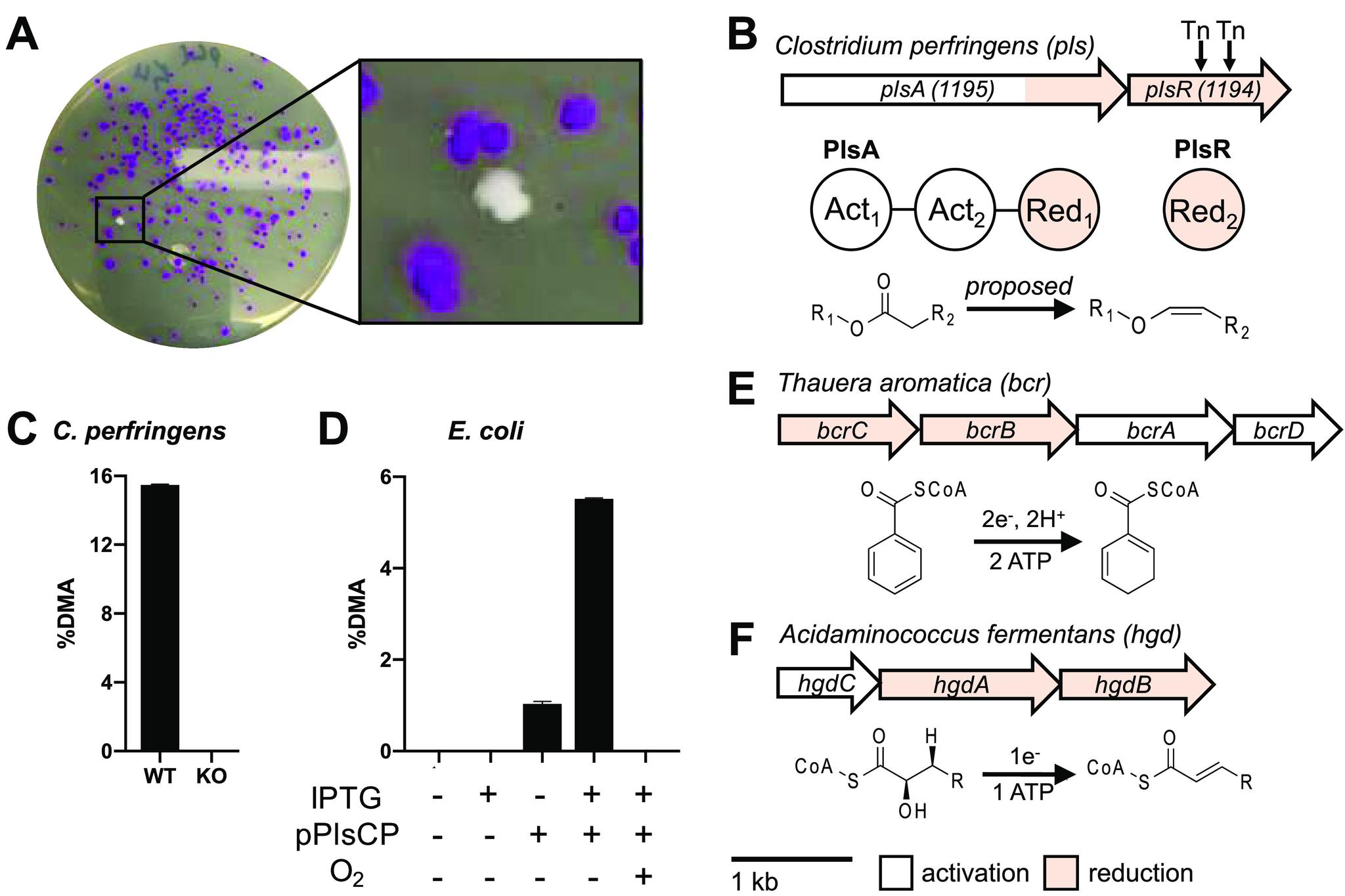 https://cdn.ncbi.nlm.nih.gov/pmc/blobs/fe51/7812594/22cd0d331948/cb0c00673_0002.jpg